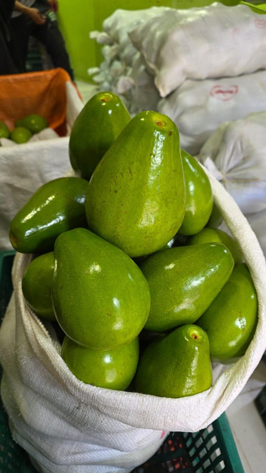 Bulto de aguacate organizado