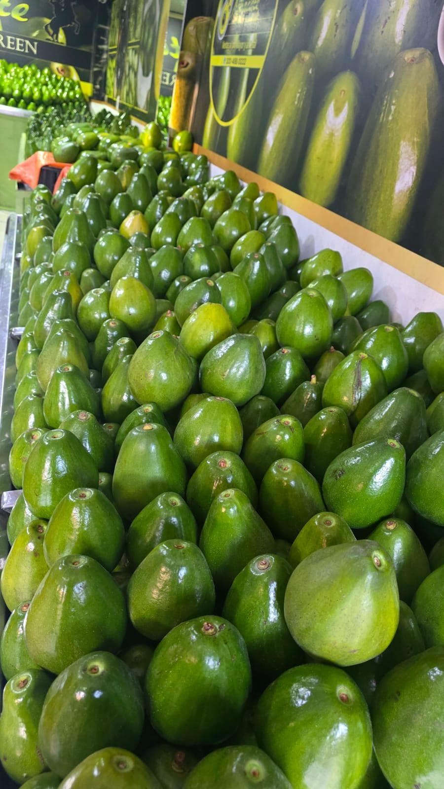 Aguacates en bodega